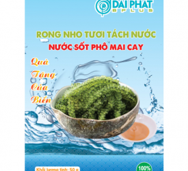 RONG NHO TƯƠI TÁCH NƯỚC - NƯỚC SỐT PHÔ MAI CAY 50 g