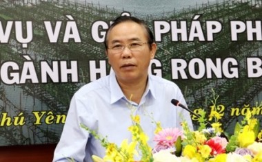 PHÁT TRIỂN NGÀNH HÀNG RONG BIỂN